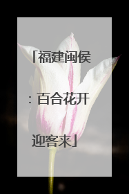 福建闽侯：百合花开迎客来