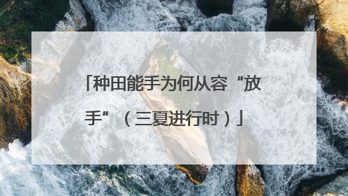 种田能手为何从容“放手”（三夏进行时）