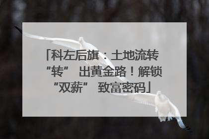 科左后旗：土地流转 “转” 出黄金路！解锁 “双薪” 致富密码