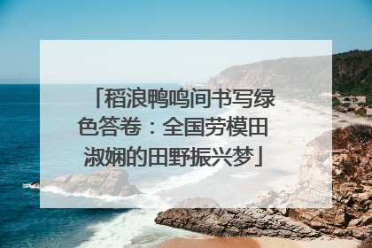 稻浪鸭鸣间书写绿色答卷：全国劳模田淑娴的田野振兴梦