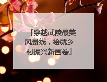 穿越武陵最美风景线，绘就乡村振兴新画卷