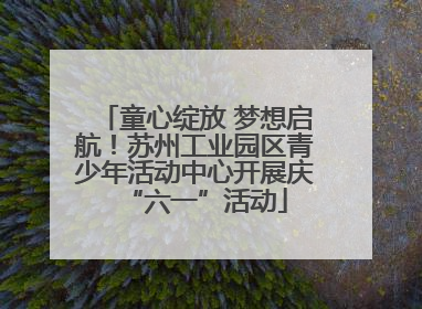 童心绽放 梦想启航！苏州工业园区青少年活动中心开展庆“六一”活动