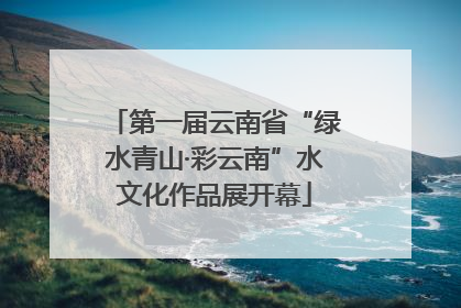 第一届云南省“绿水青山·彩云南”水文化作品展开幕