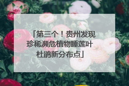 第三个！贵州发现珍稀濒危植物睡莲叶杜鹃新分布点