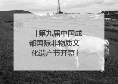 第九届中国成都国际非物质文化遗产节开幕