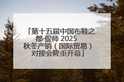 第十五届中国布鞋之都·偃师 2025 秋冬产销（国际贸易）对接会隆重开幕