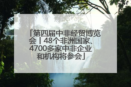 第四届中非经贸博览会丨48个非洲国家、4700多家中非企业和机构将参会