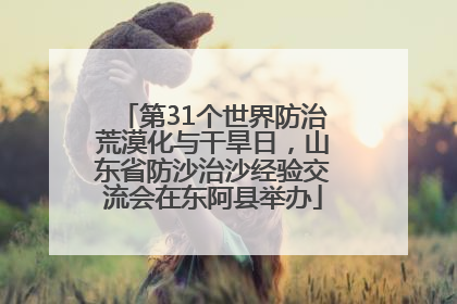第31个世界防治荒漠化与干旱日，山东省防沙治沙经验交流会在东阿县举办