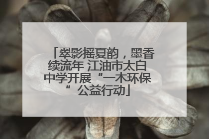 翠影摇夏韵，墨香续流年 江油市太白中学开展“一木环保”公益行动