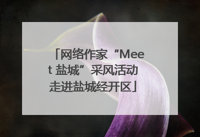 网络作家“Meet 盐城”采风活动走进盐城经开区