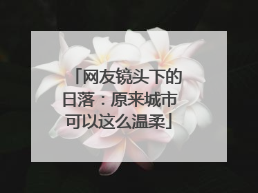 网友镜头下的日落：原来城市可以这么温柔