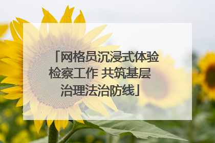 网格员沉浸式体验检察工作 共筑基层治理法治防线