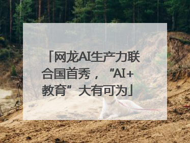 网龙AI生产力联合国首秀，“AI+教育”大有可为