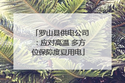 罗山县供电公司：应对高温 多方位保障度夏用电