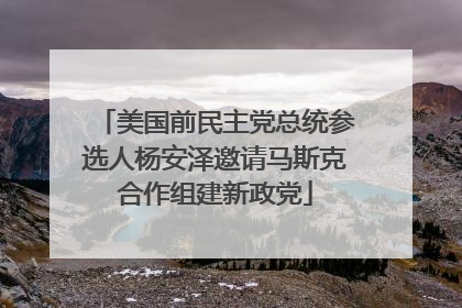 美国前民主党总统参选人杨安泽邀请马斯克合作组建新政党