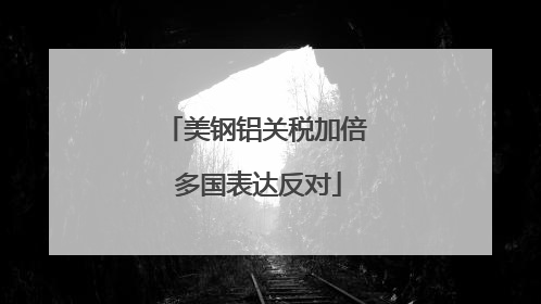 美钢铝关税加倍 多国表达反对