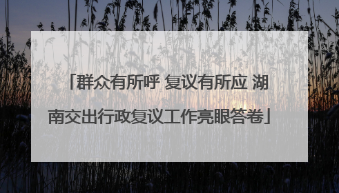 群众有所呼 复议有所应 湖南交出行政复议工作亮眼答卷