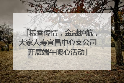 粽香传情，金融护航，大家人寿宜昌中心支公司开展端午暖心活动