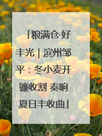 粮满仓·好丰光｜滨州邹平：冬小麦开镰收割 奏响夏日丰收曲