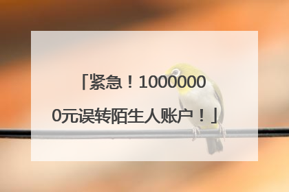 紧急！10000000元误转陌生人账户！