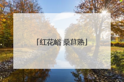 红花峪 桑葚熟