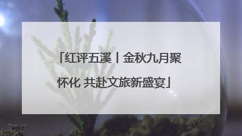 红评五溪丨金秋九月聚怀化 共赴文旅新盛宴