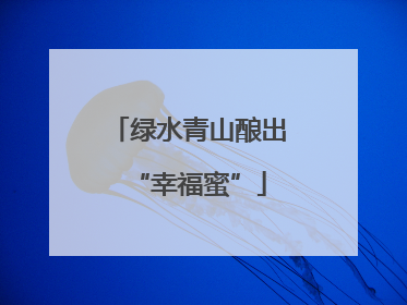 绿水青山酿出“幸福蜜”