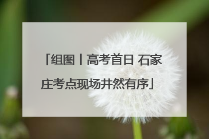 组图丨高考首日 石家庄考点现场井然有序