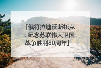 俄符拉迪沃斯托克：纪念苏联伟大卫国战争胜利80周年