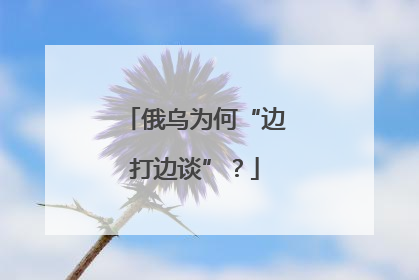 俄乌为何“边打边谈”？