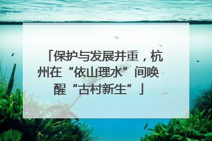 保护与发展并重，杭州在“依山理水”间唤醒“古村新生”