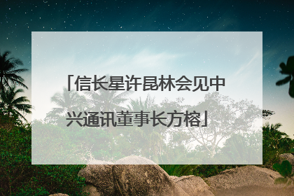 信长星许昆林会见中兴通讯董事长方榕