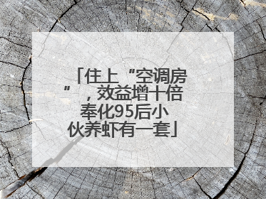 住上“空调房”，效益增十倍 奉化95后小伙养虾有一套