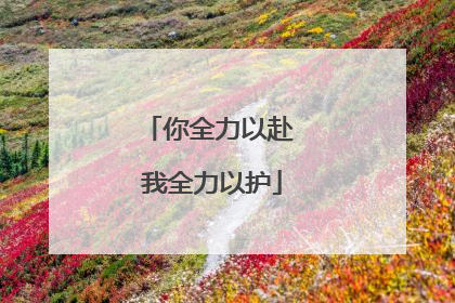 你全力以赴 我全力以护