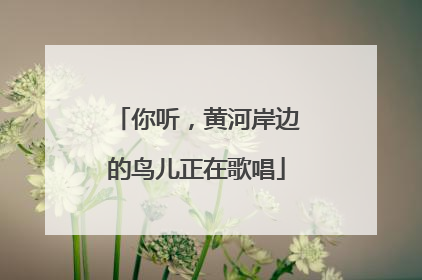 你听，黄河岸边的鸟儿正在歌唱