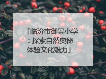 临汾市御景小学：探索自然奥秘 体验文化魅力