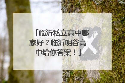 临沂私立高中哪家好？临沂明谷高中给你答案！
