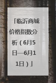 临沂商城价格指数分析（6月5日—6月11日）