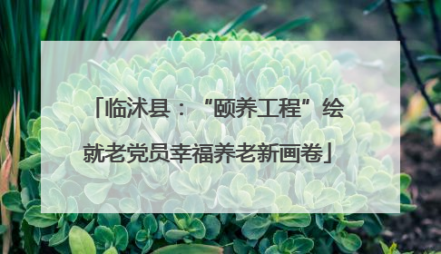 临沭县：“颐养工程”绘就老党员幸福养老新画卷