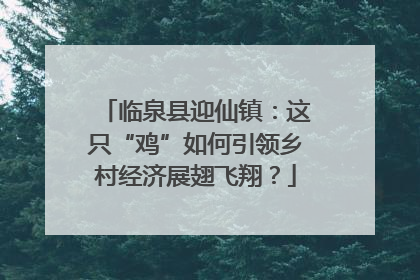 临泉县迎仙镇：这只“鸡”如何引领乡村经济展翅飞翔？