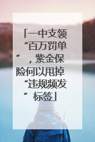 一中支领“百万罚单”，紫金保险何以甩掉“违规频发”标签