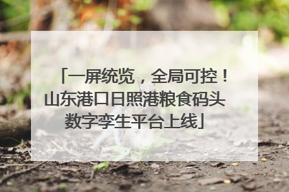 一屏统览，全局可控！山东港口日照港粮食码头数字孪生平台上线