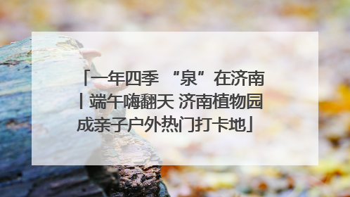 一年四季 “泉”在济南丨端午嗨翻天 济南植物园成亲子户外热门打卡地