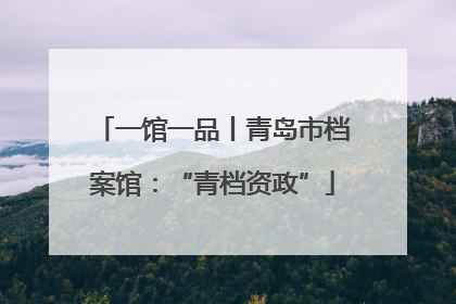 一馆一品丨青岛市档案馆：“青档资政”