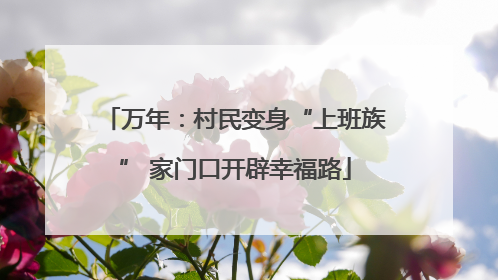 万年：村民变身“上班族” 家门口开辟幸福路
