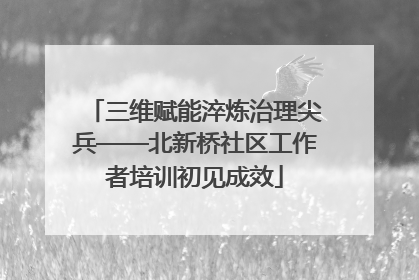 三维赋能淬炼治理尖兵——北新桥社区工作者培训初见成效