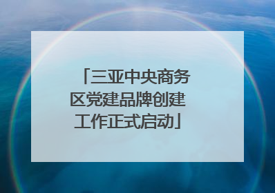 三亚中央商务区党建品牌创建工作正式启动