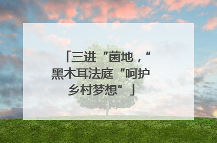 三进“菌地，”黑木耳法庭“呵护乡村梦想”