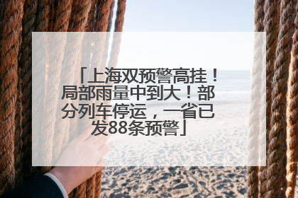 上海双预警高挂！局部雨量中到大！部分列车停运，一省已发88条预警