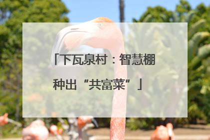 下瓦泉村：智慧棚种出“共富菜”